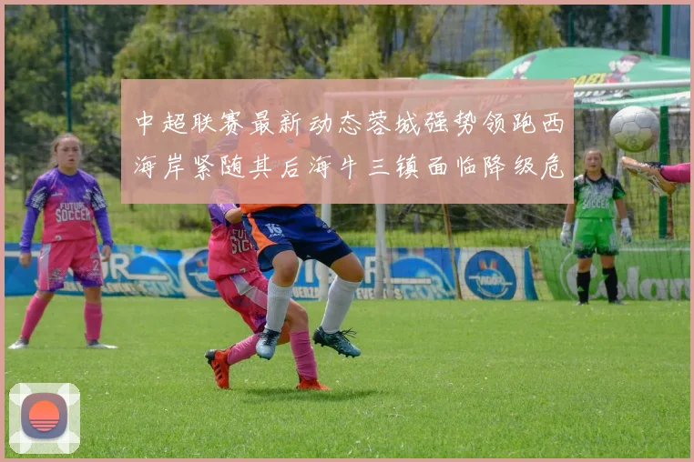 中超联赛最新动态蓉城强势领跑西海岸紧随其后海牛三镇面临降级危机